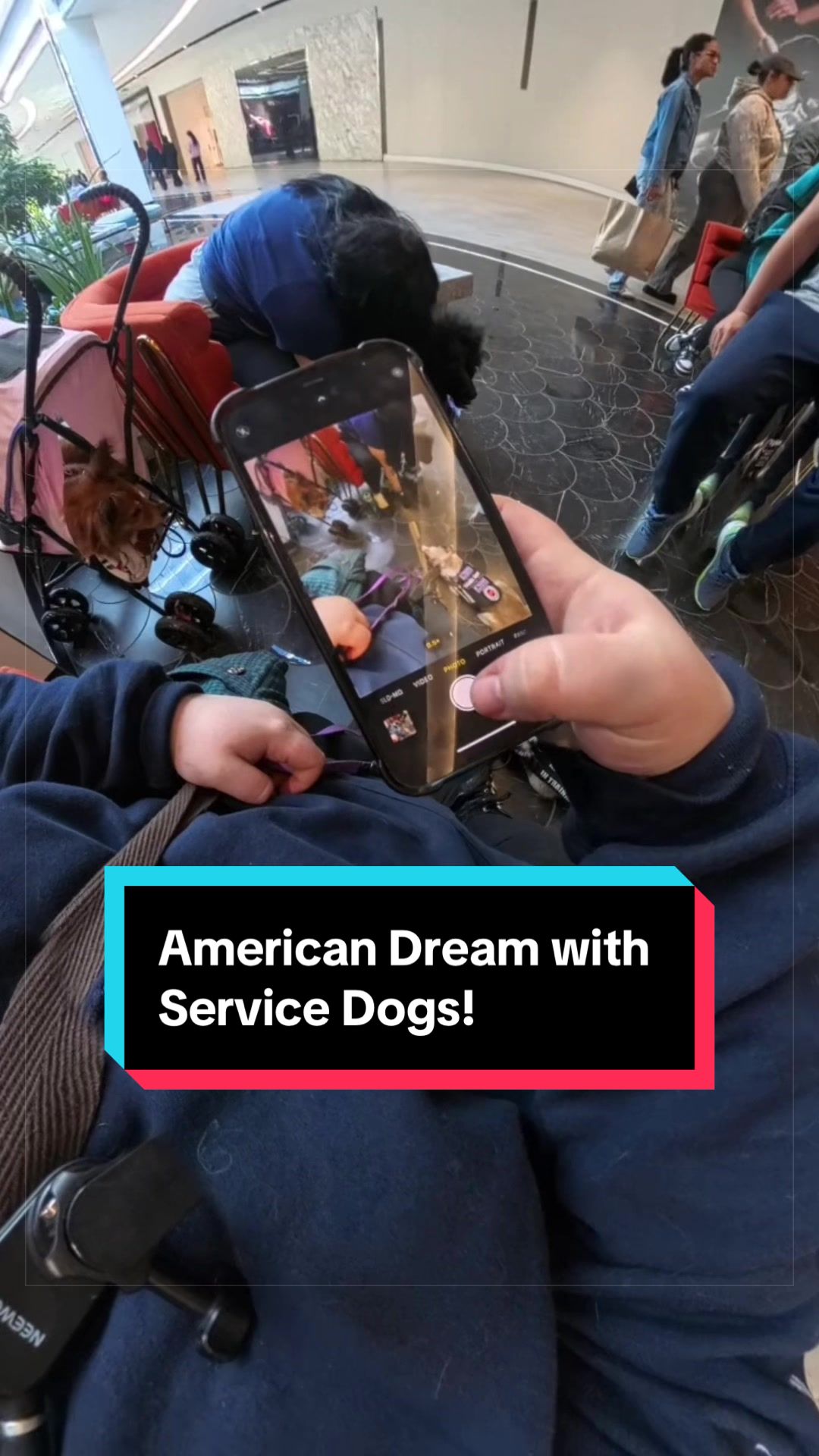 @Dakota & Pups