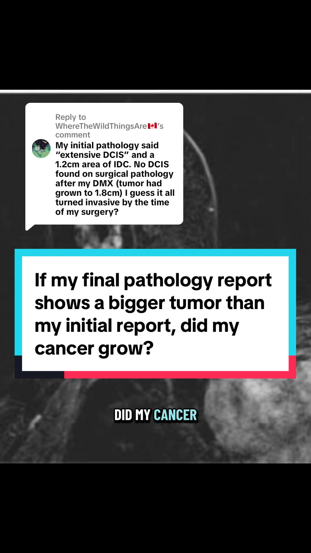 @Dr. Amani Jambhekar