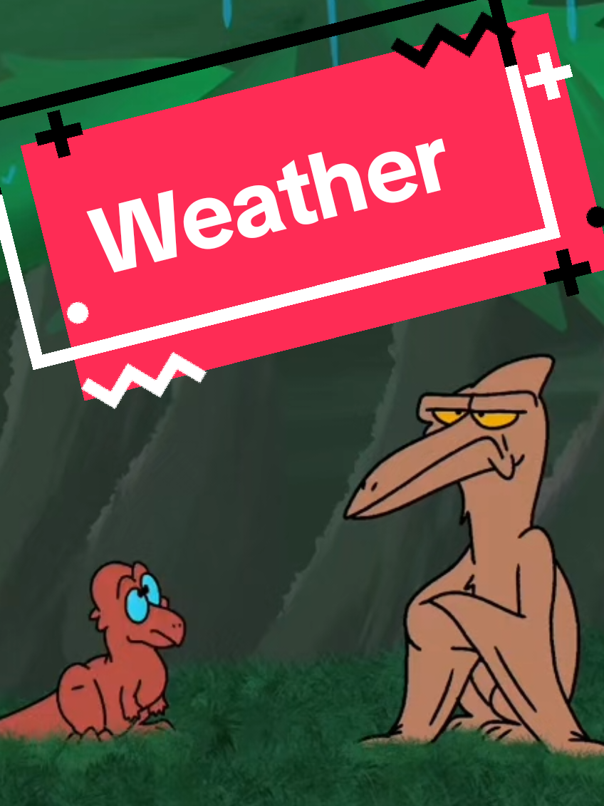 @Willie the Kiwi