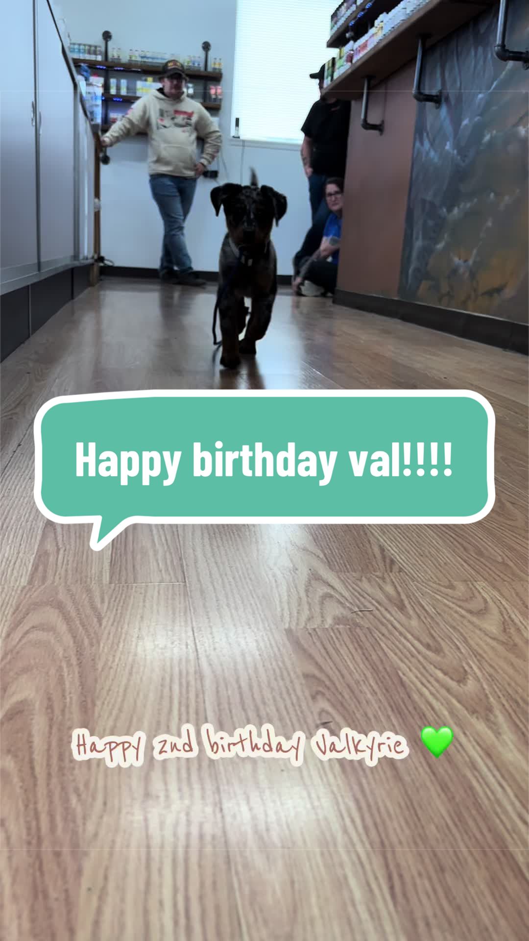 @valkyrie.the.beauceron