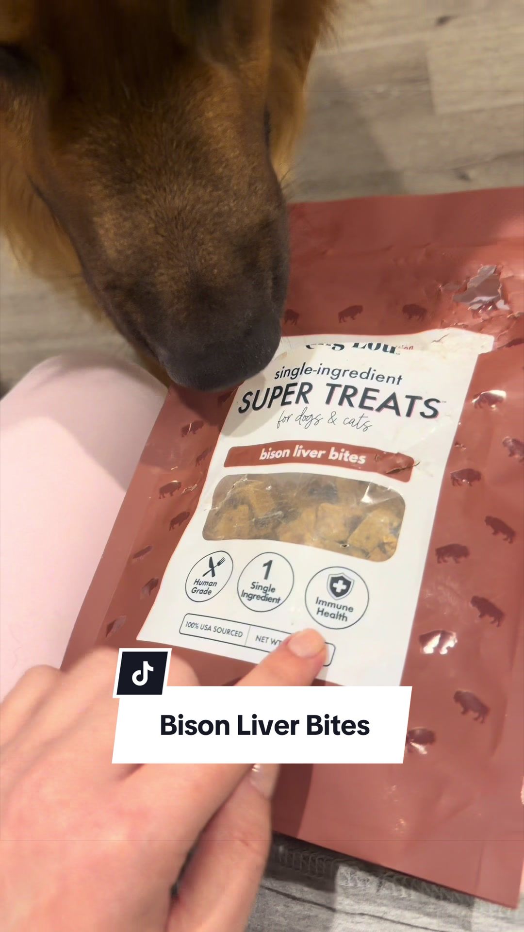 @lifewithgoldenshepherds