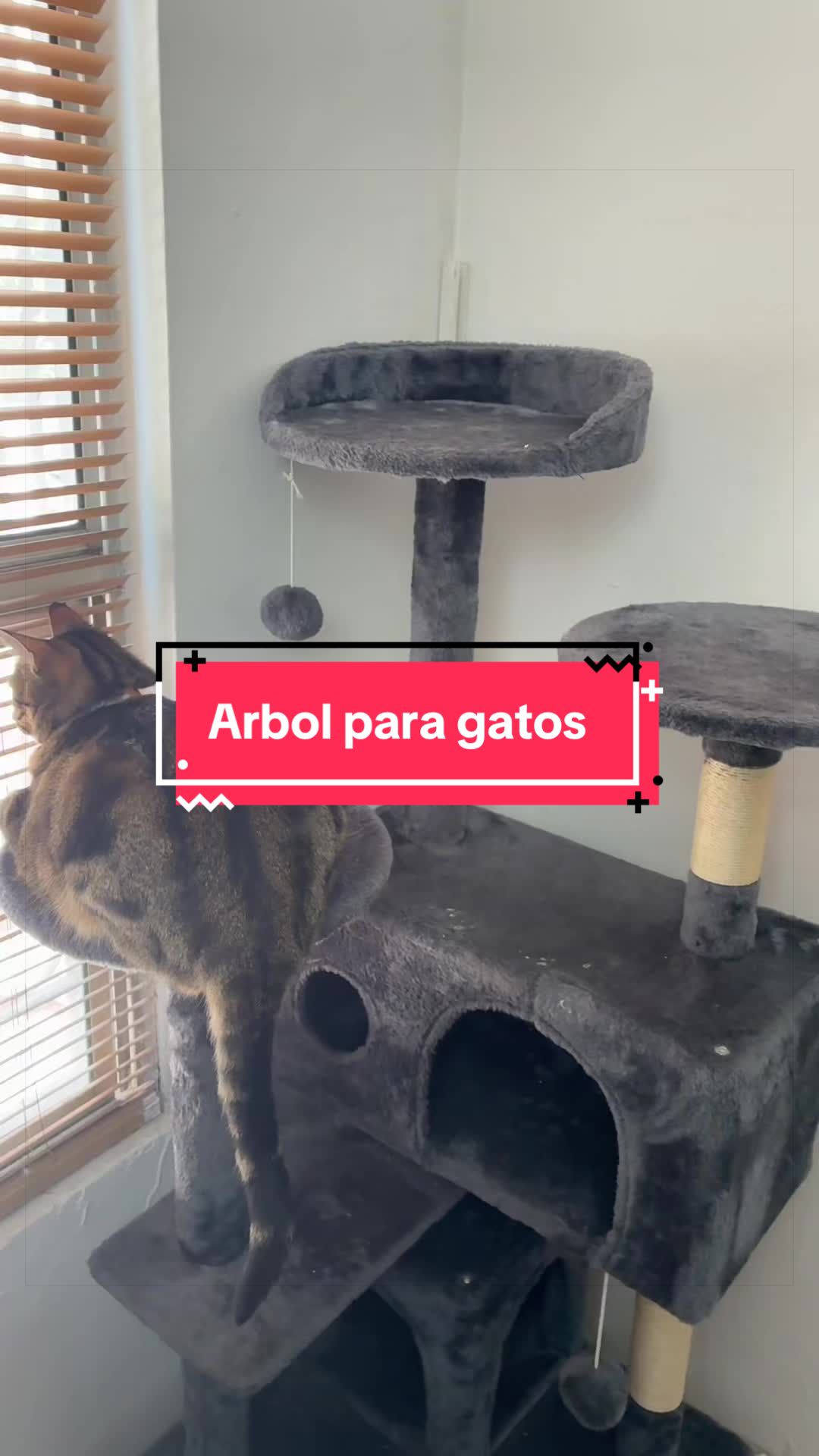 @Pily y Abelito