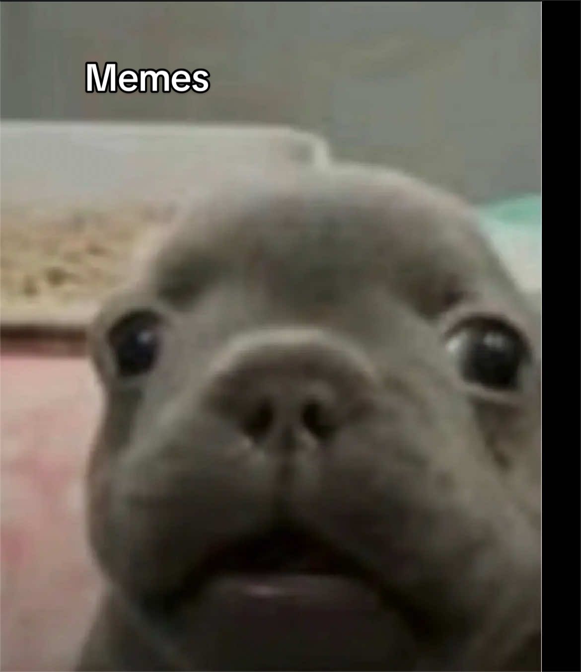 @⊹˙٭🫧∘˙𖦹&bull;🎐˚⊹♬