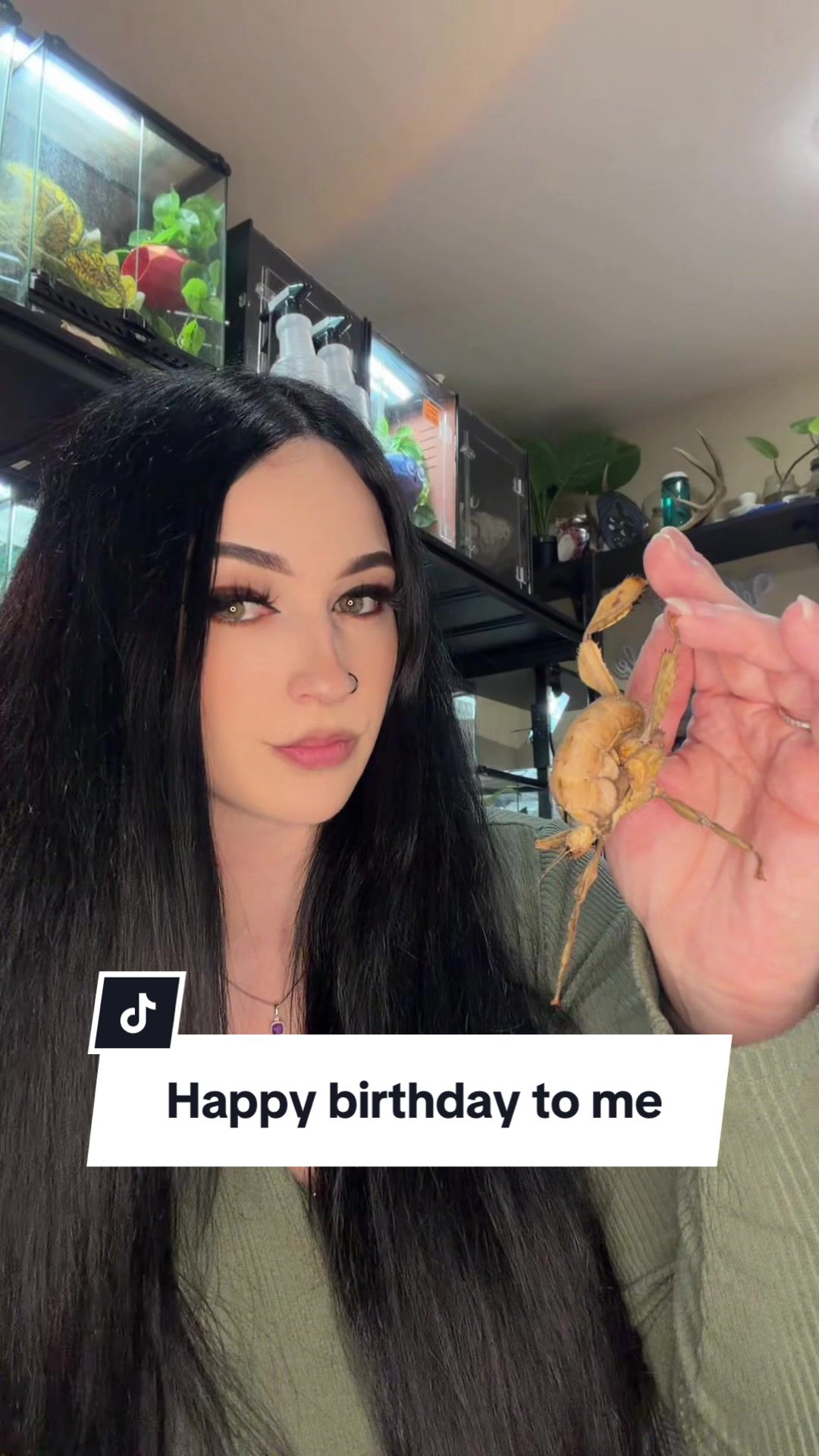 @mysticmorphes