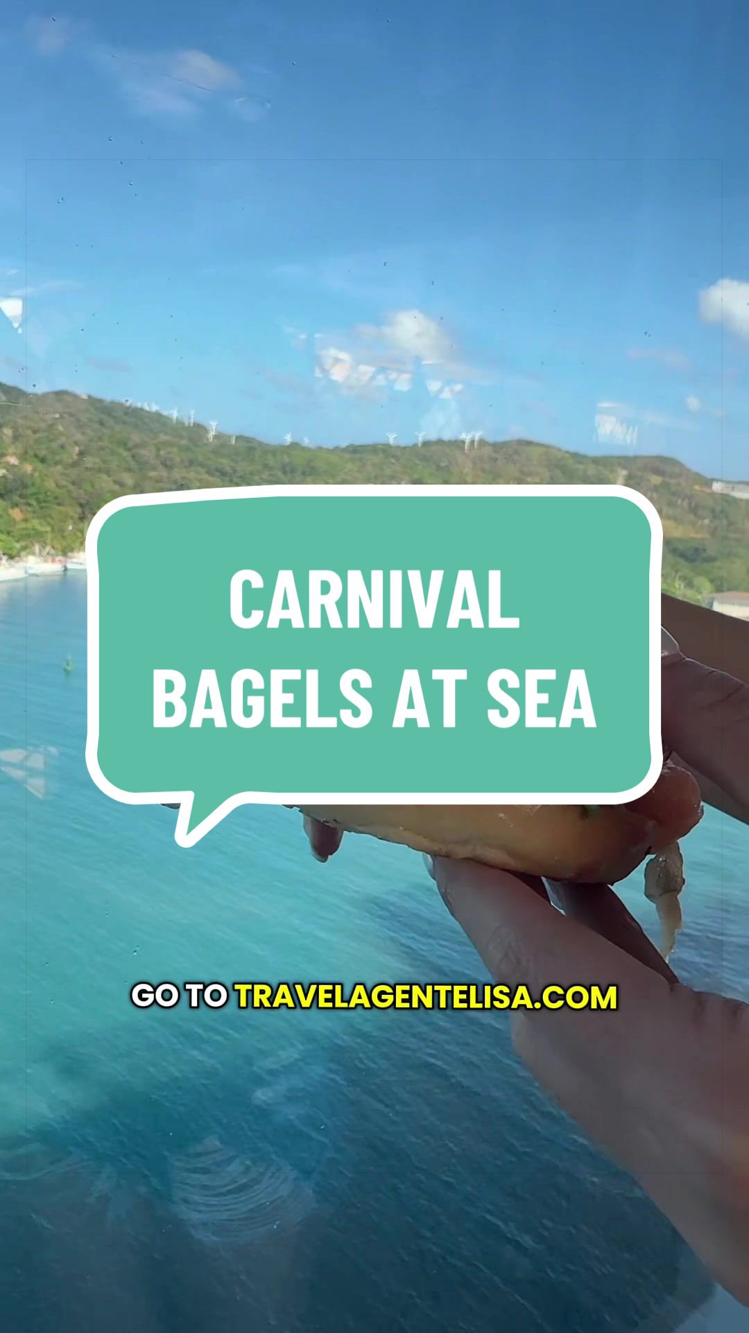 @Travel Agent Elisa 🛳️