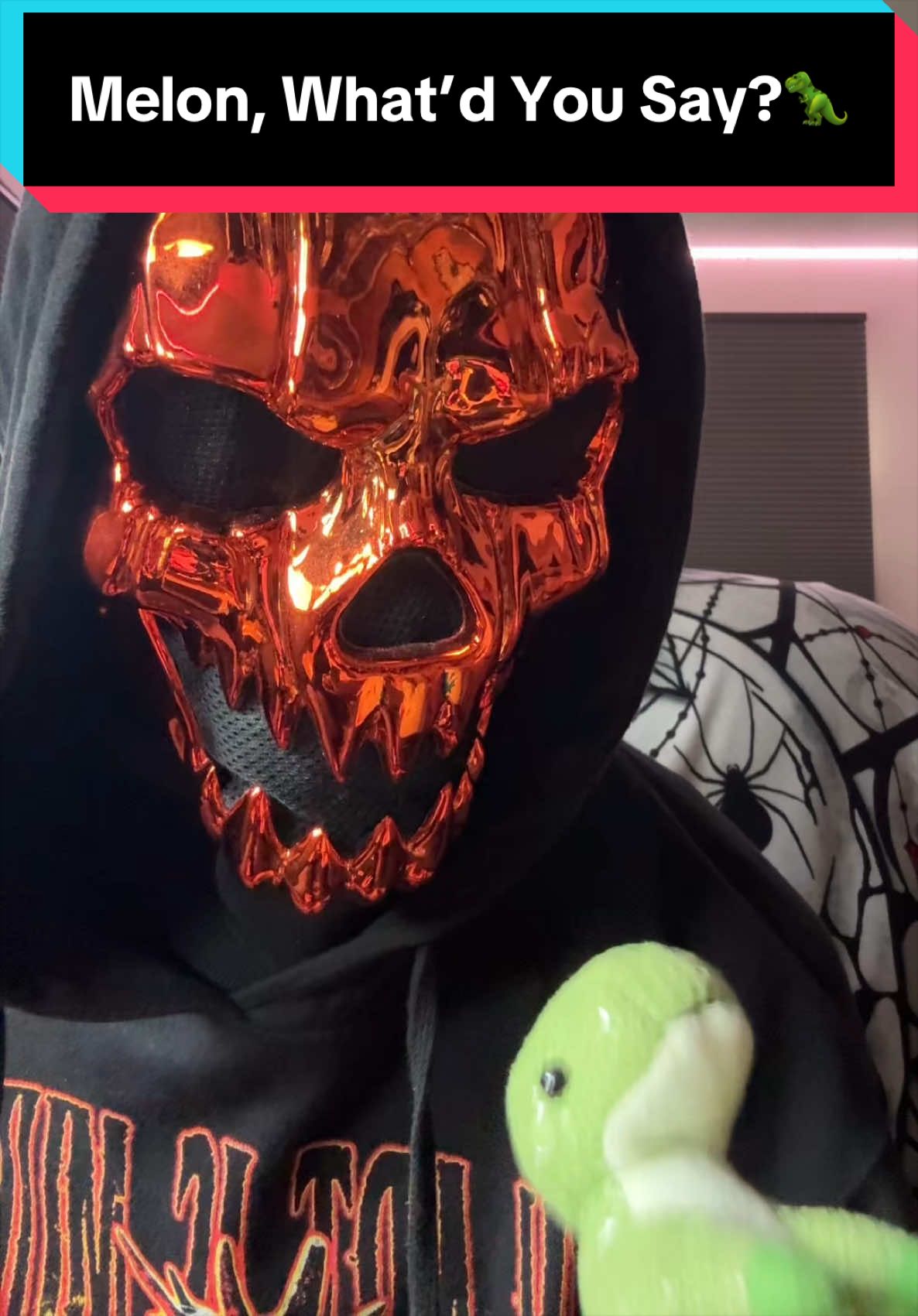 @TheCollectingSkull