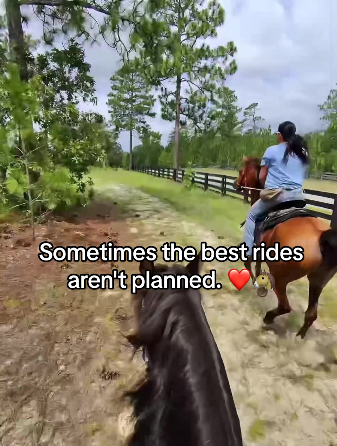 @Horse Life With Dawn❌