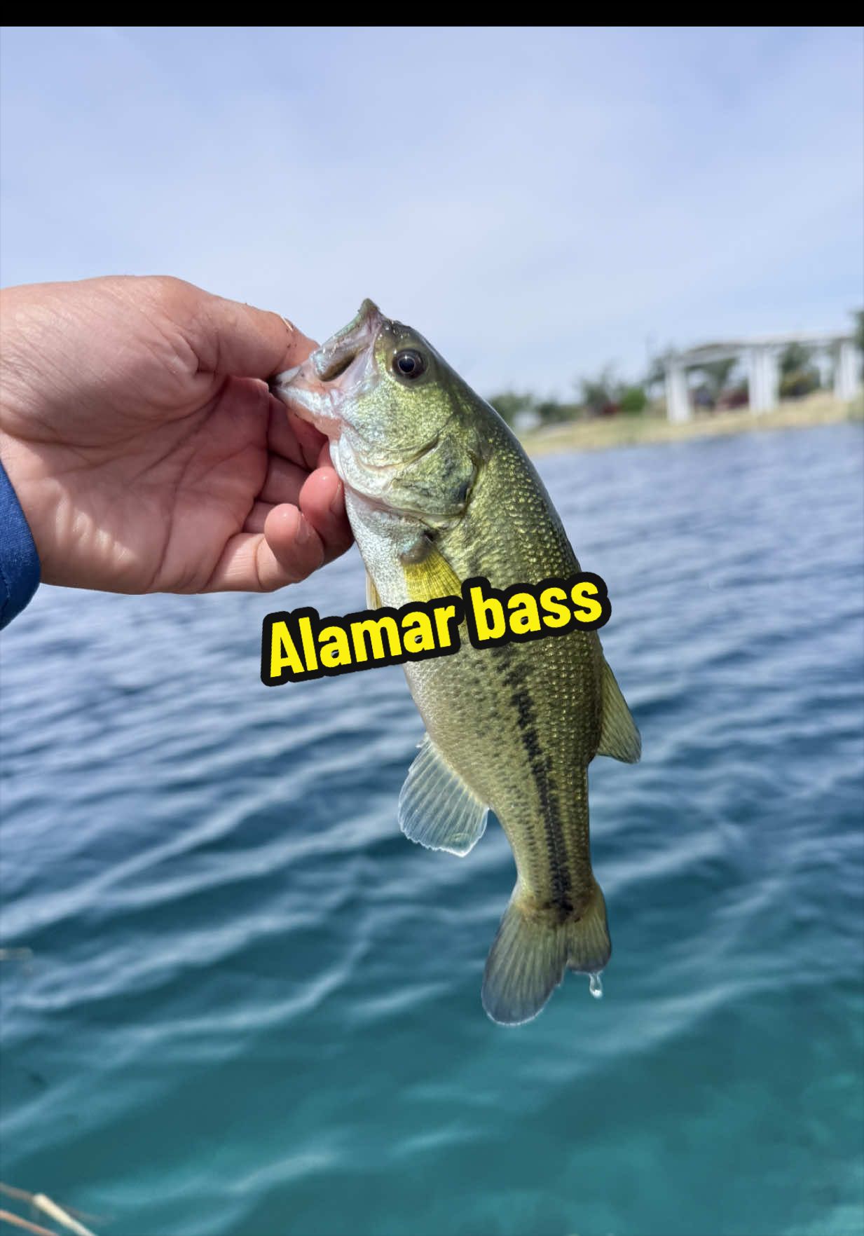 @Luu Nguyen Fishing