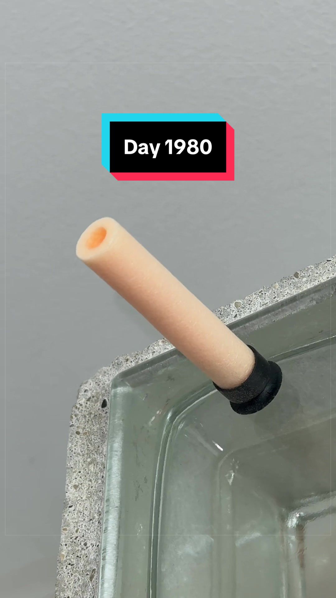 @The Immortal Nerf Dart