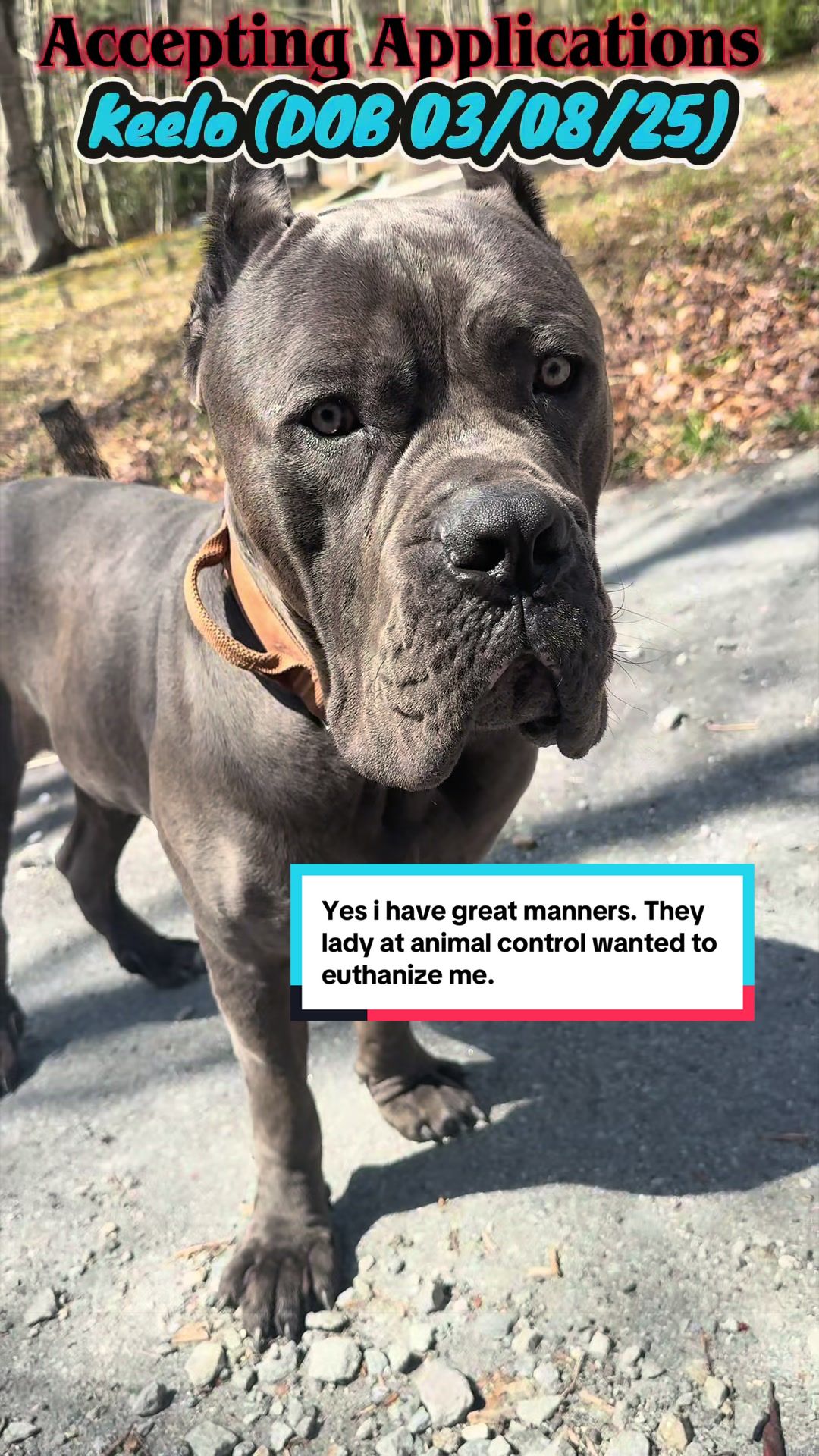 @Beautiful Life CC Rescue
