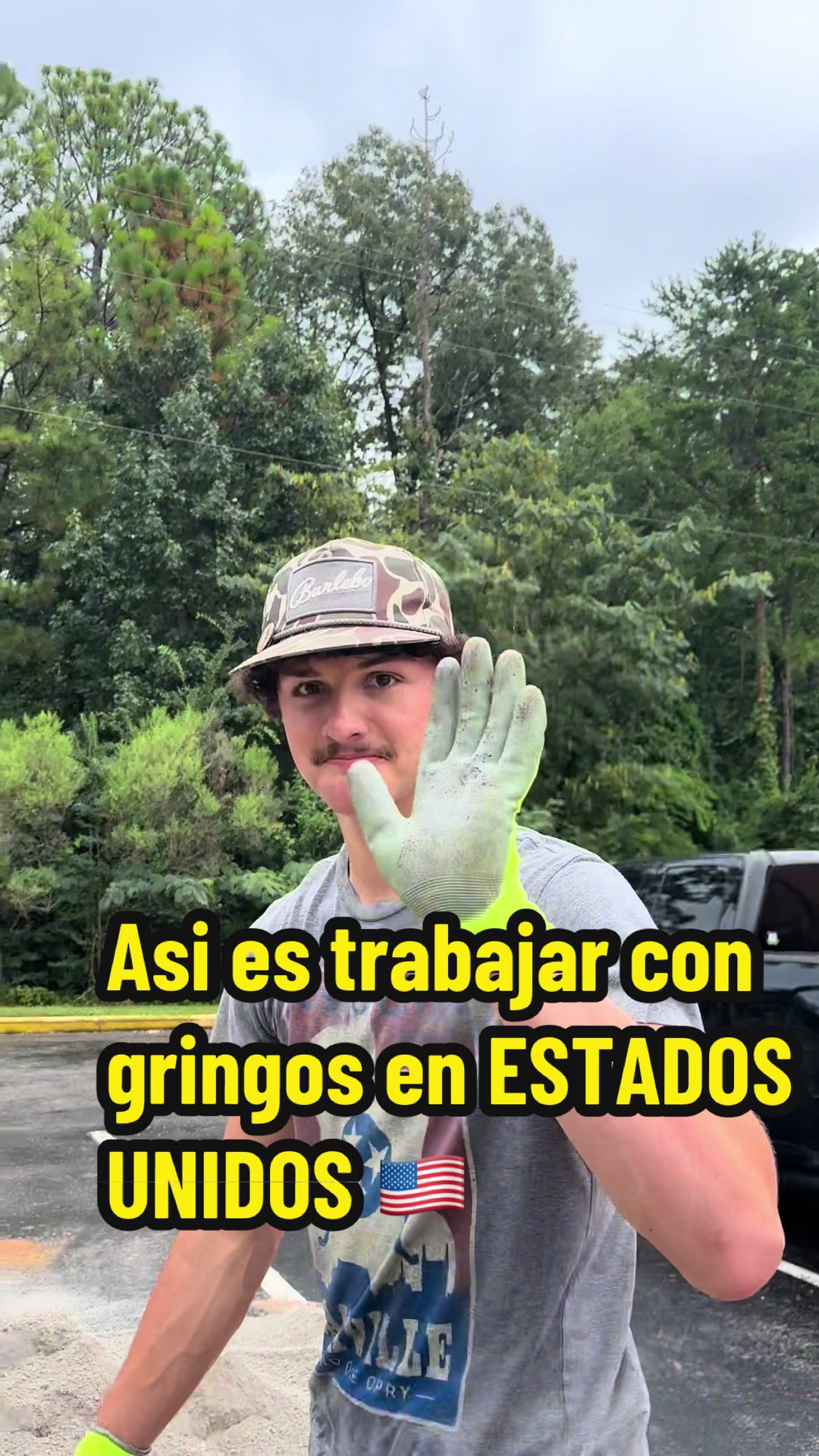 @T E O