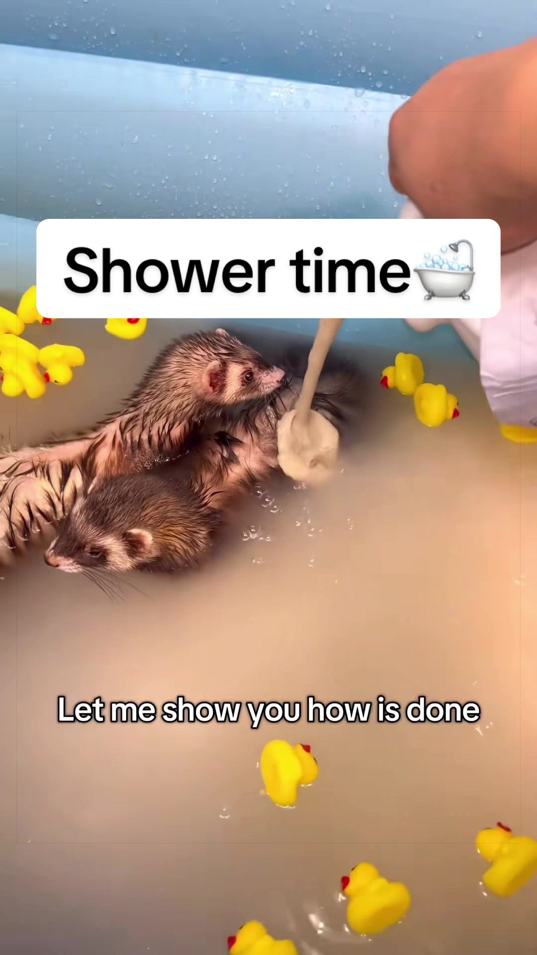 @Floofnoodles