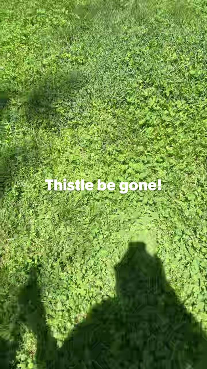@justgenuinelyjen
