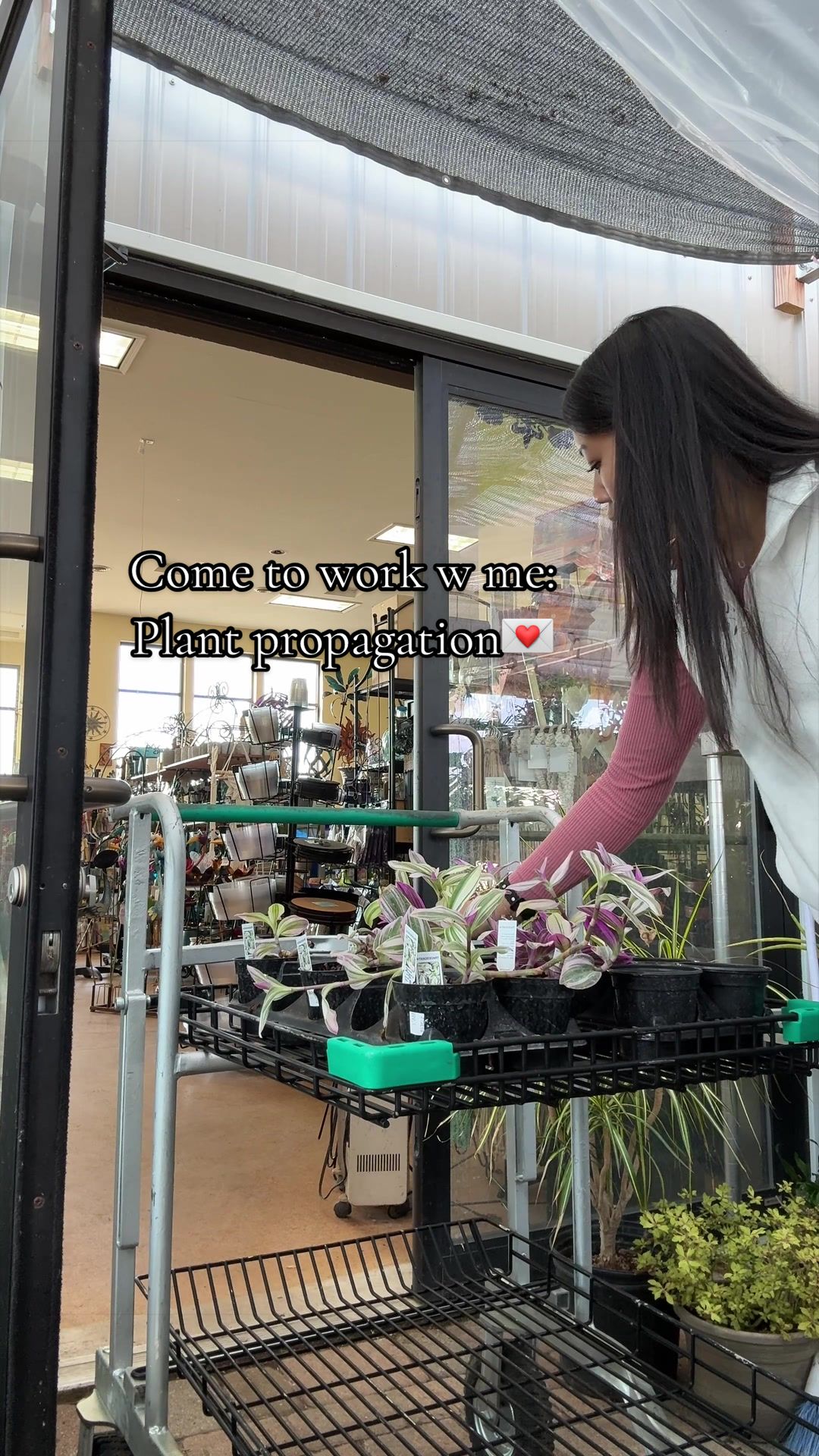 @Angela🪴💌🌵