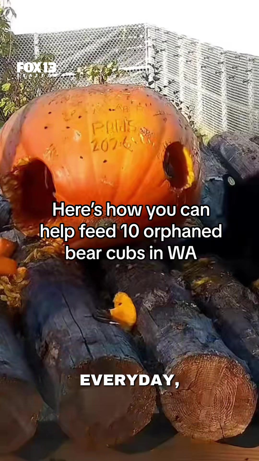 @FOX 13 Seattle