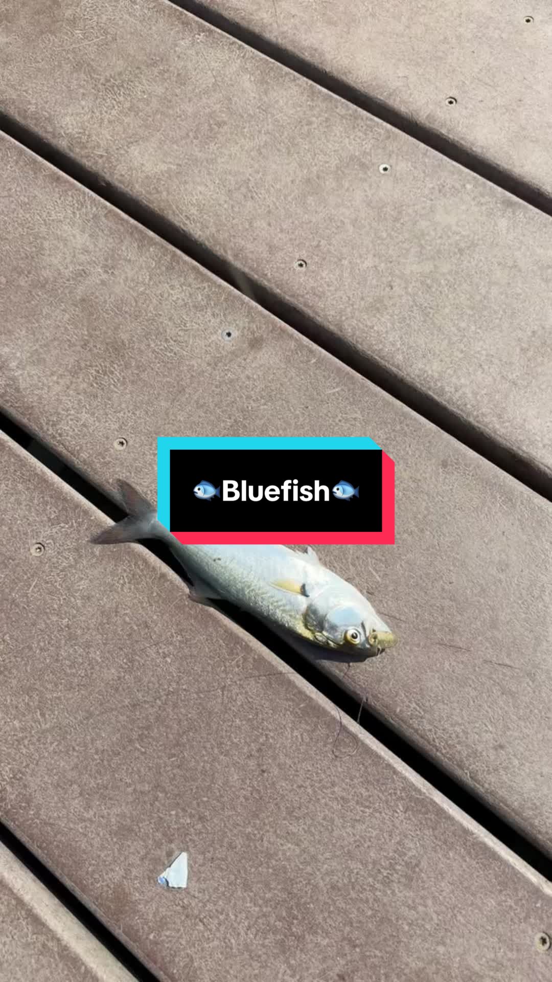 @fb1fishing