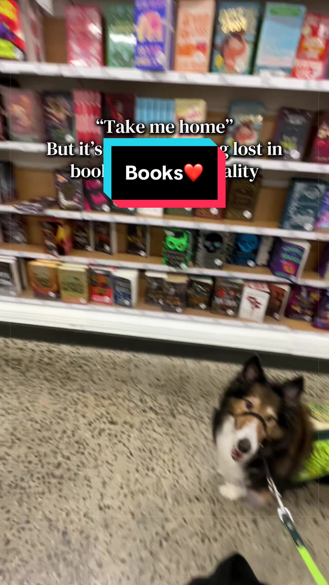 @Dakota & Pups
