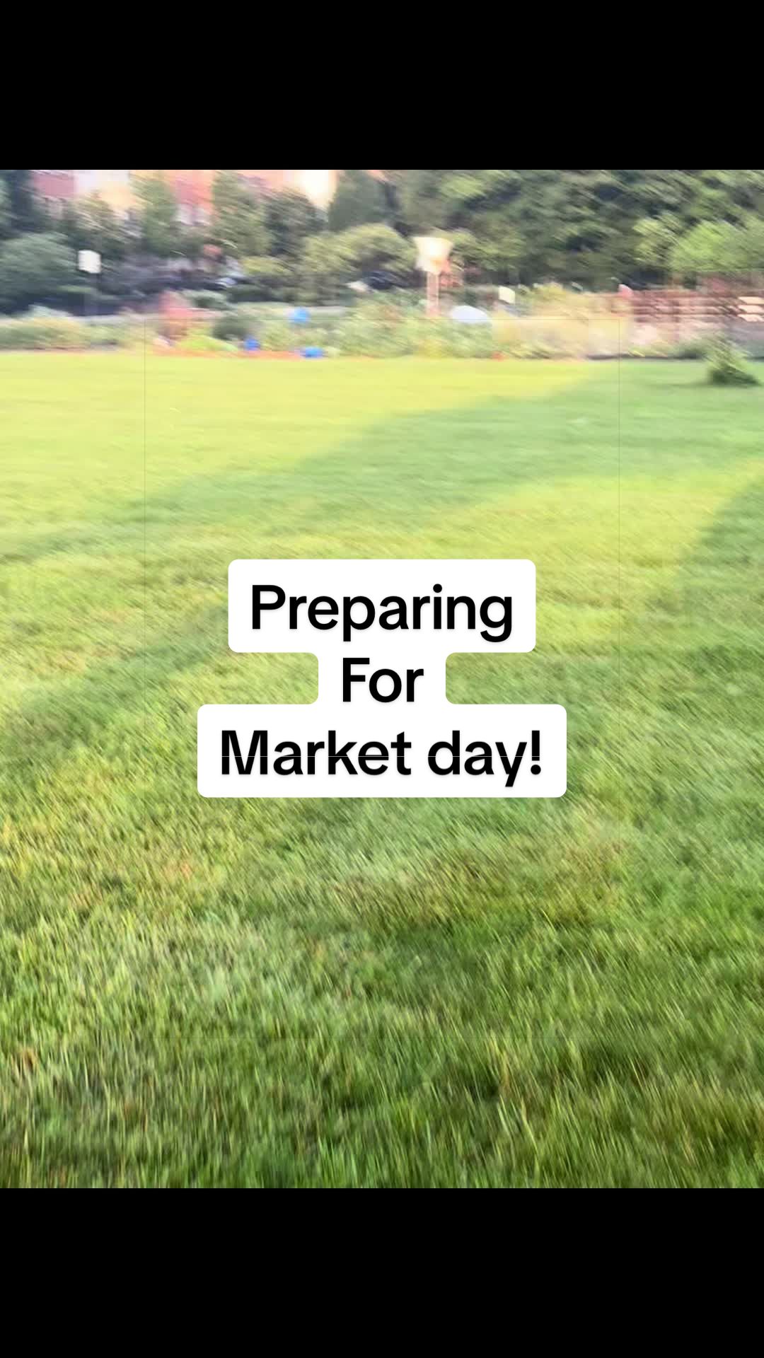 @greengirlgardens