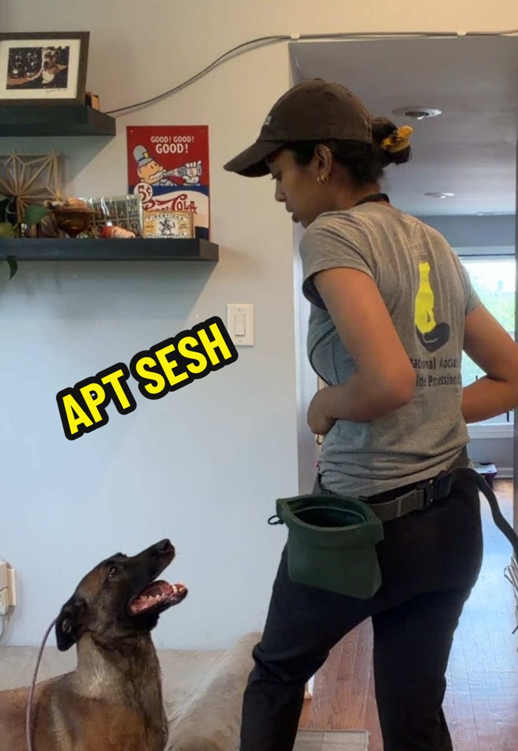 @dogstrainjen