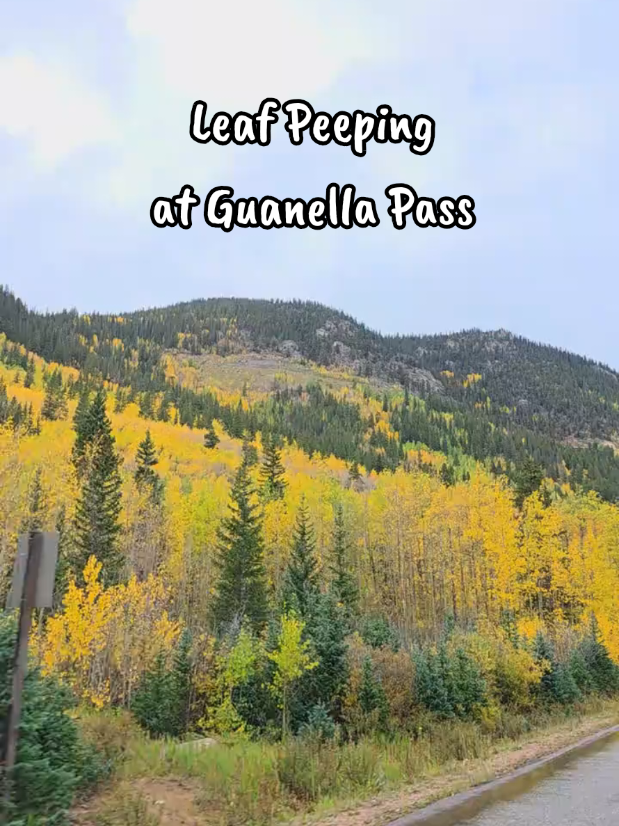 @Cam ✨️ Colorado Creator
