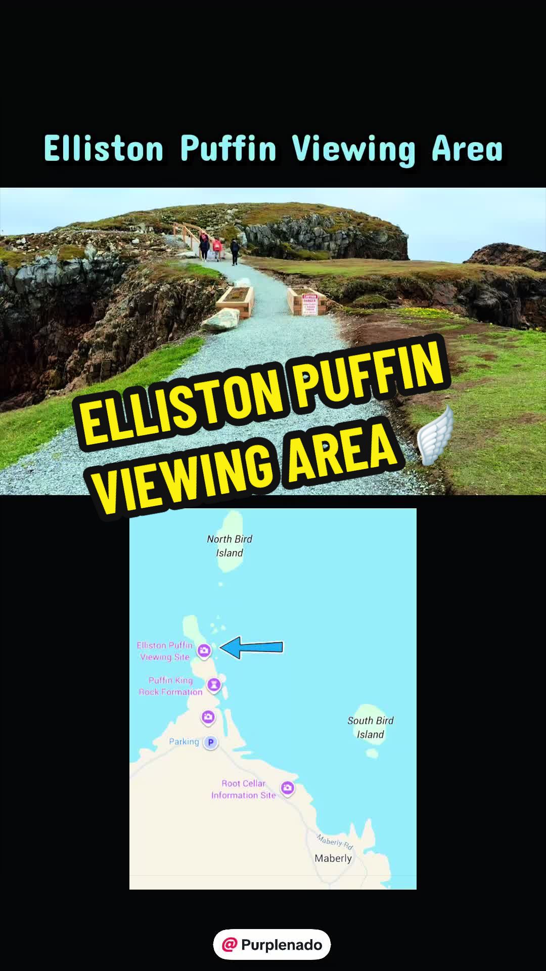 @Purplenado