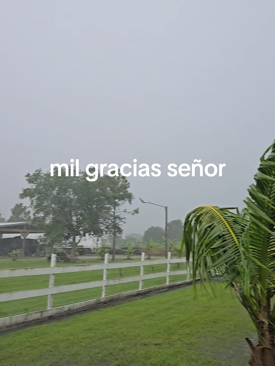 @Luis discua