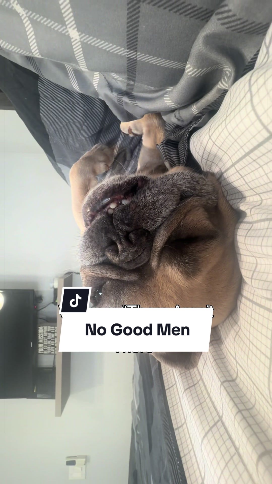 @Somefrenchienamedapollo