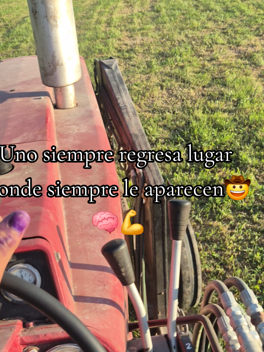 @Mendoza fan🐂 del éxito ✍️🧠💸
