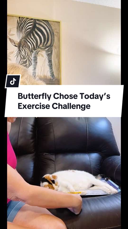 @Get Fit With Jeanne