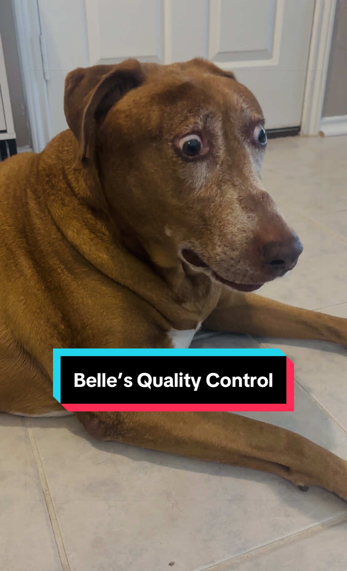 @Belle O’Neill