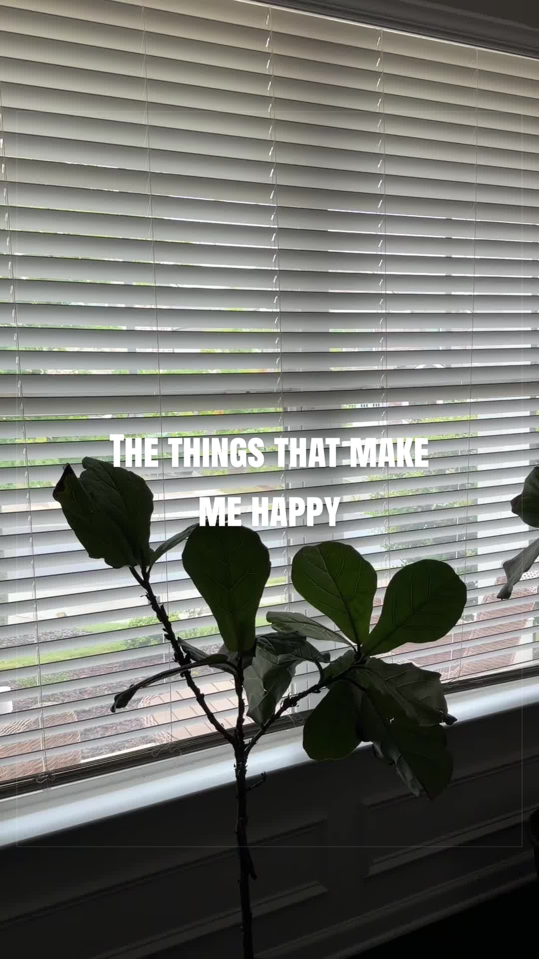 @davettacree