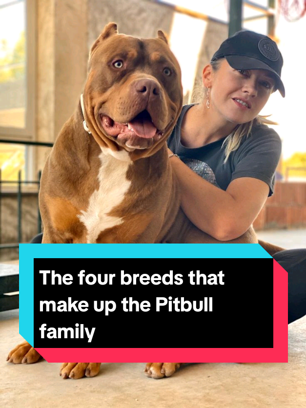 @The pet post