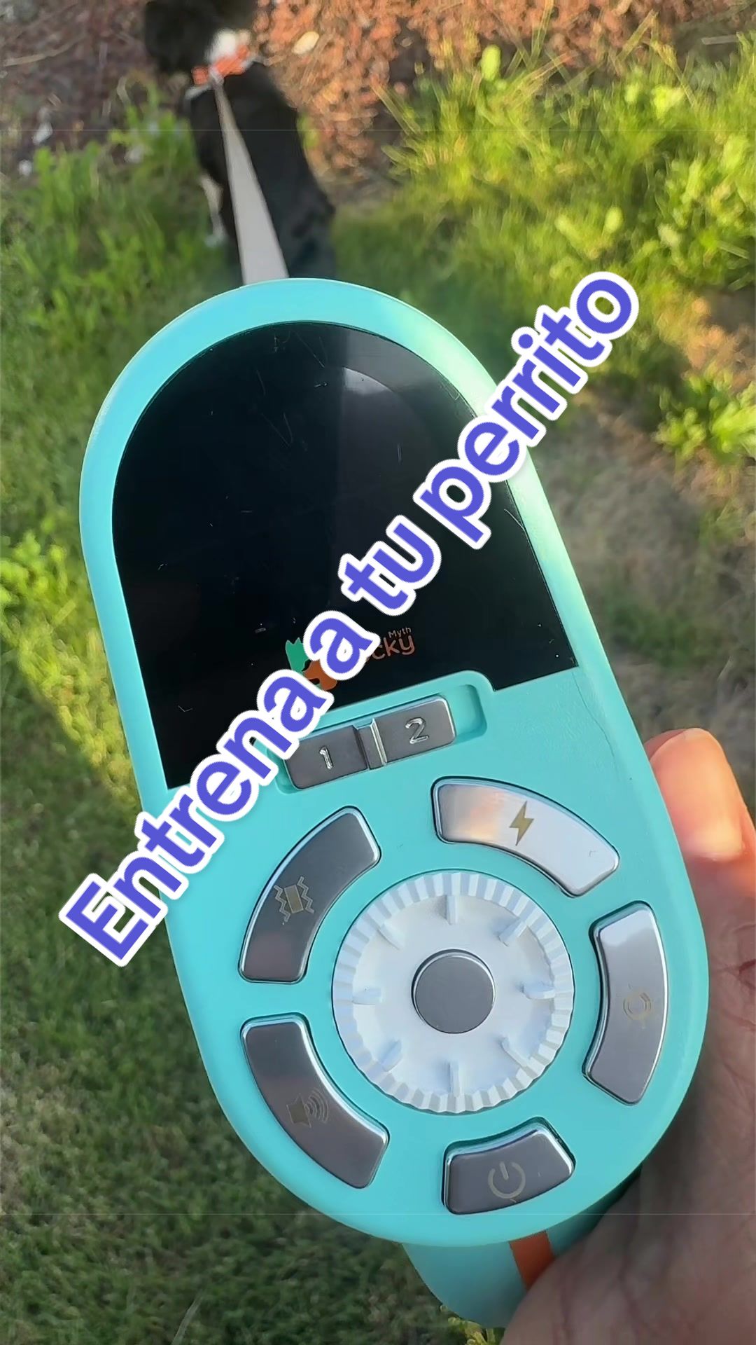 @Sarai Lopez