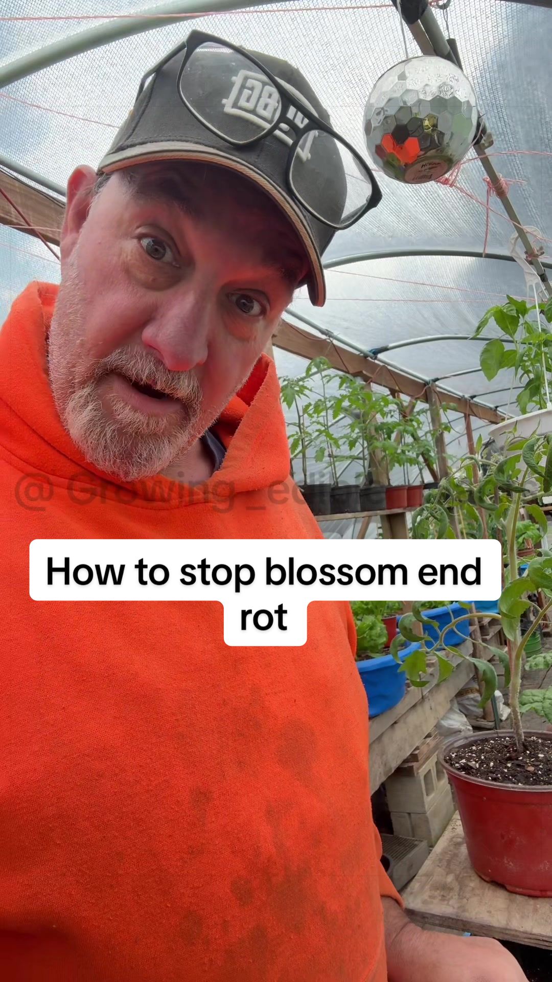 @GROWING_EDIBLE_PLANTS