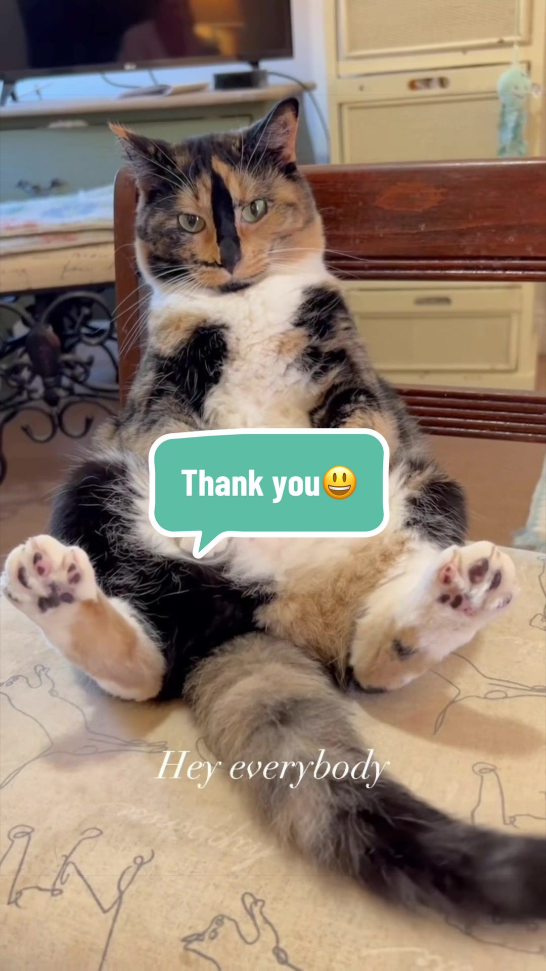 @SnickersTheSmilingCat