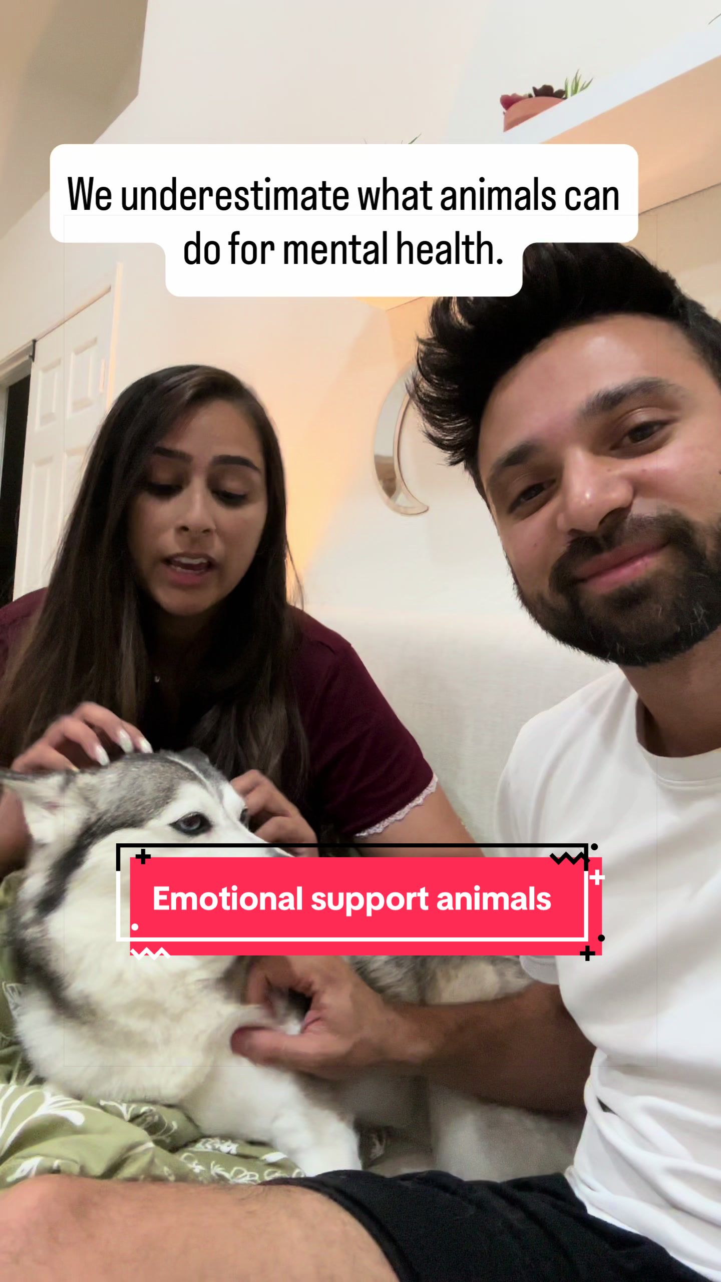 @mindbodyandshahs