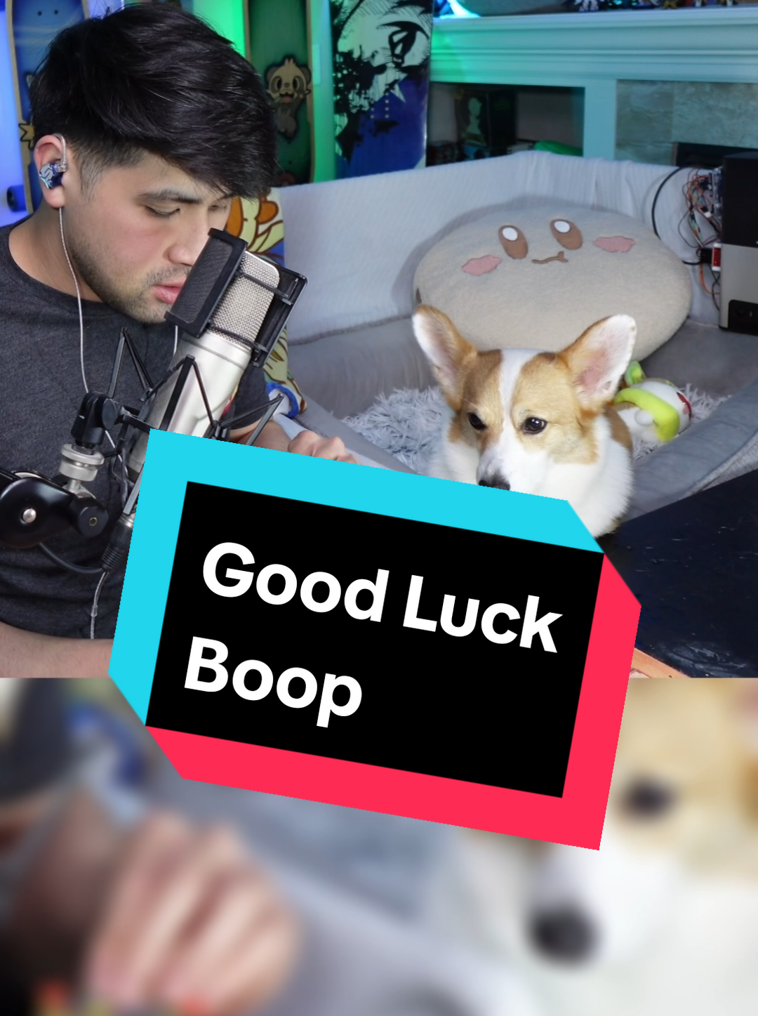 @Protocorg | Twitch Streamer