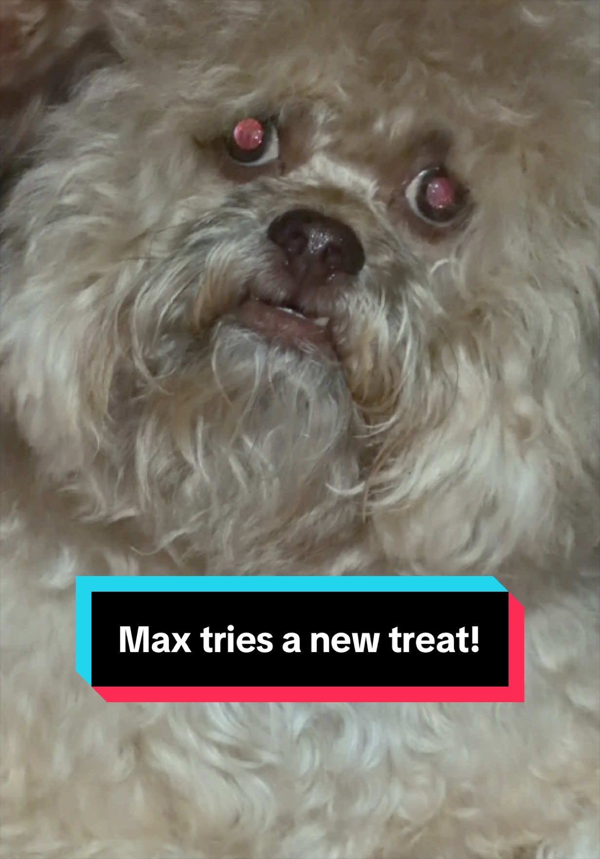 @Lil&rsquo; Max
