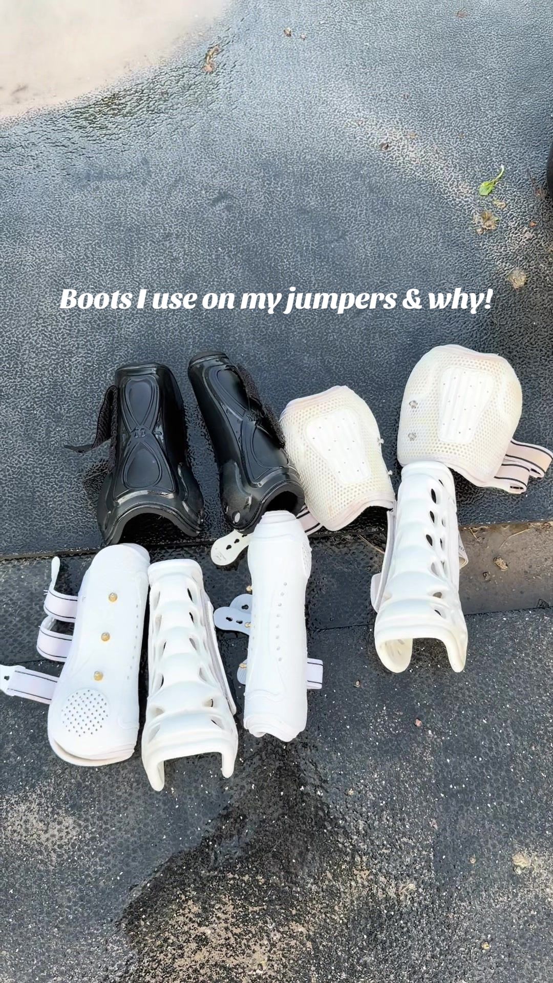 @Lunar Hill Equestrian