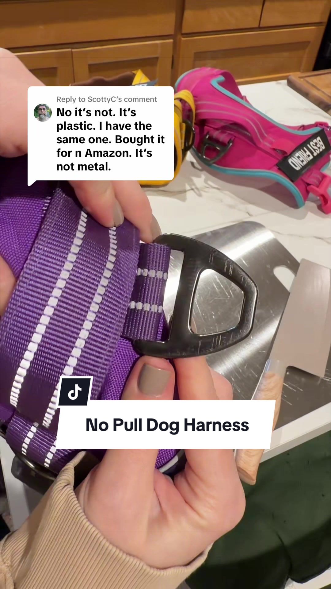 @lifewithgoldenshepherds