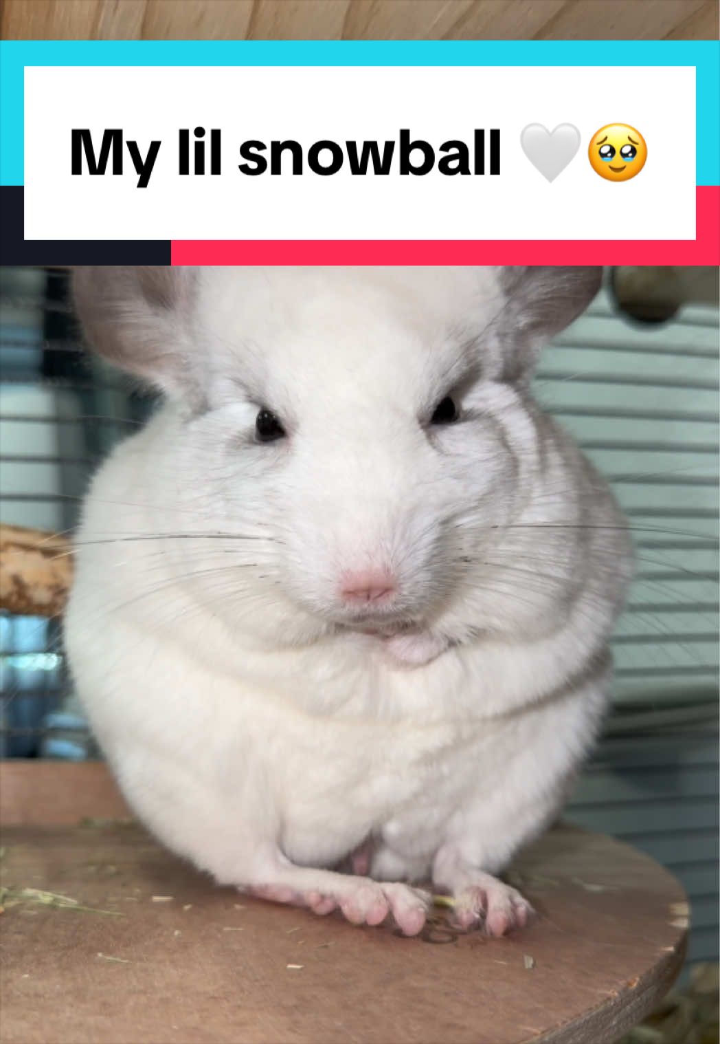 @bunsandhustles