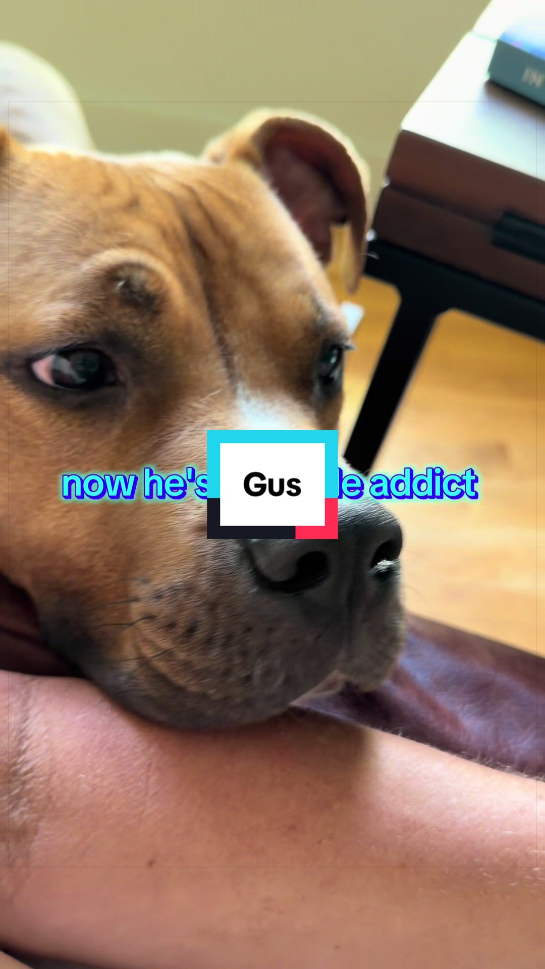 @Underdog