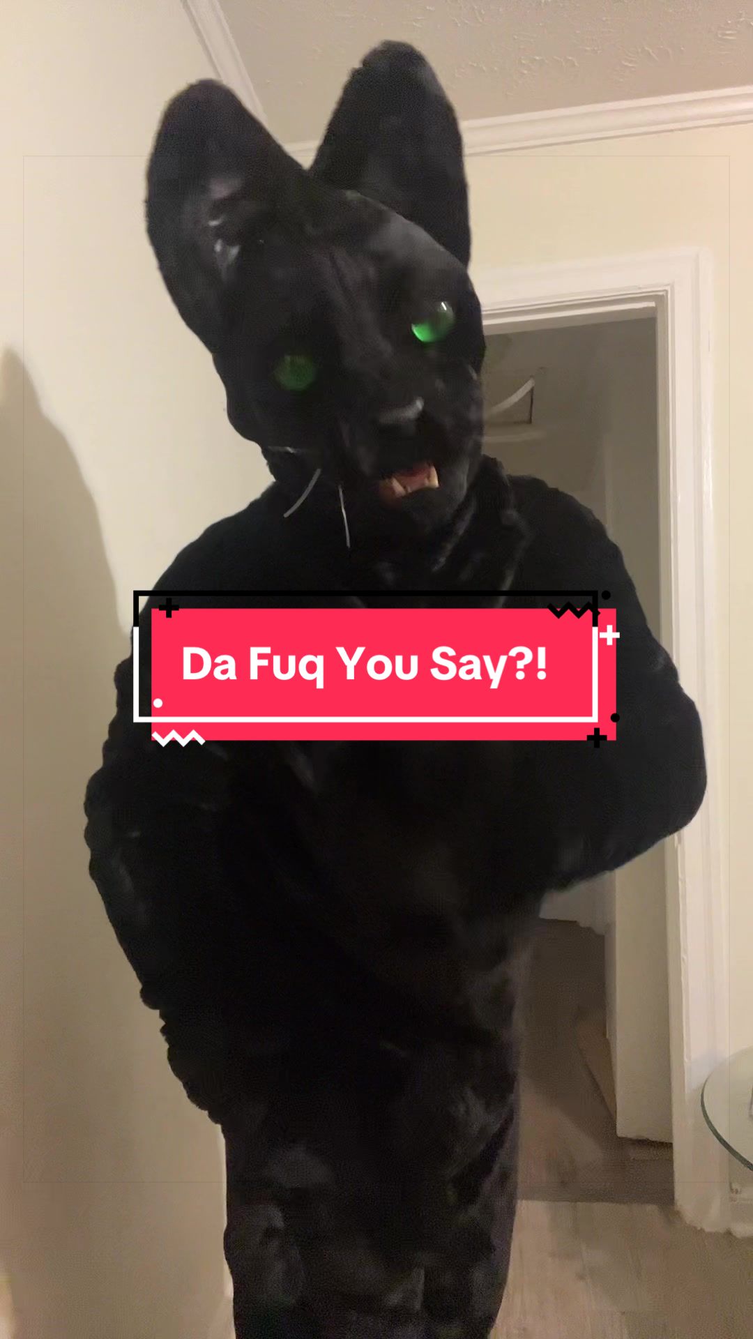 @Ayn BlackFox