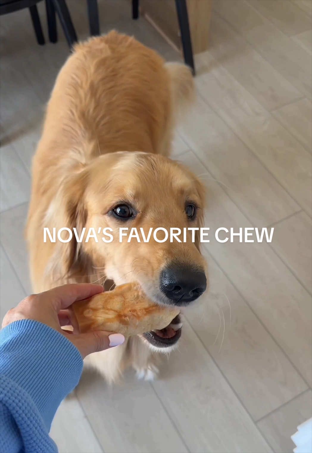 @novathegoldenn
