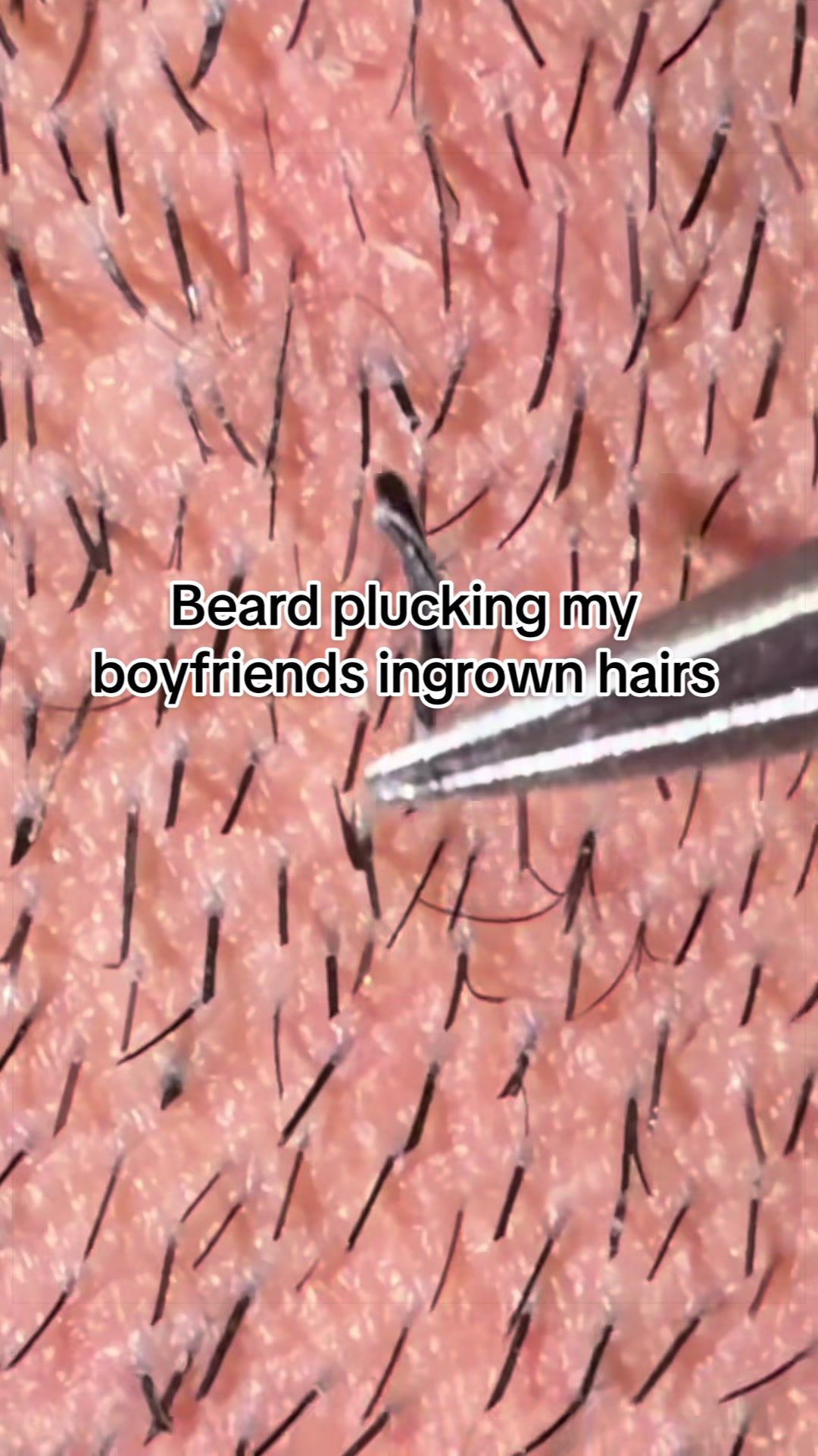 @GroomingMyGrizzly