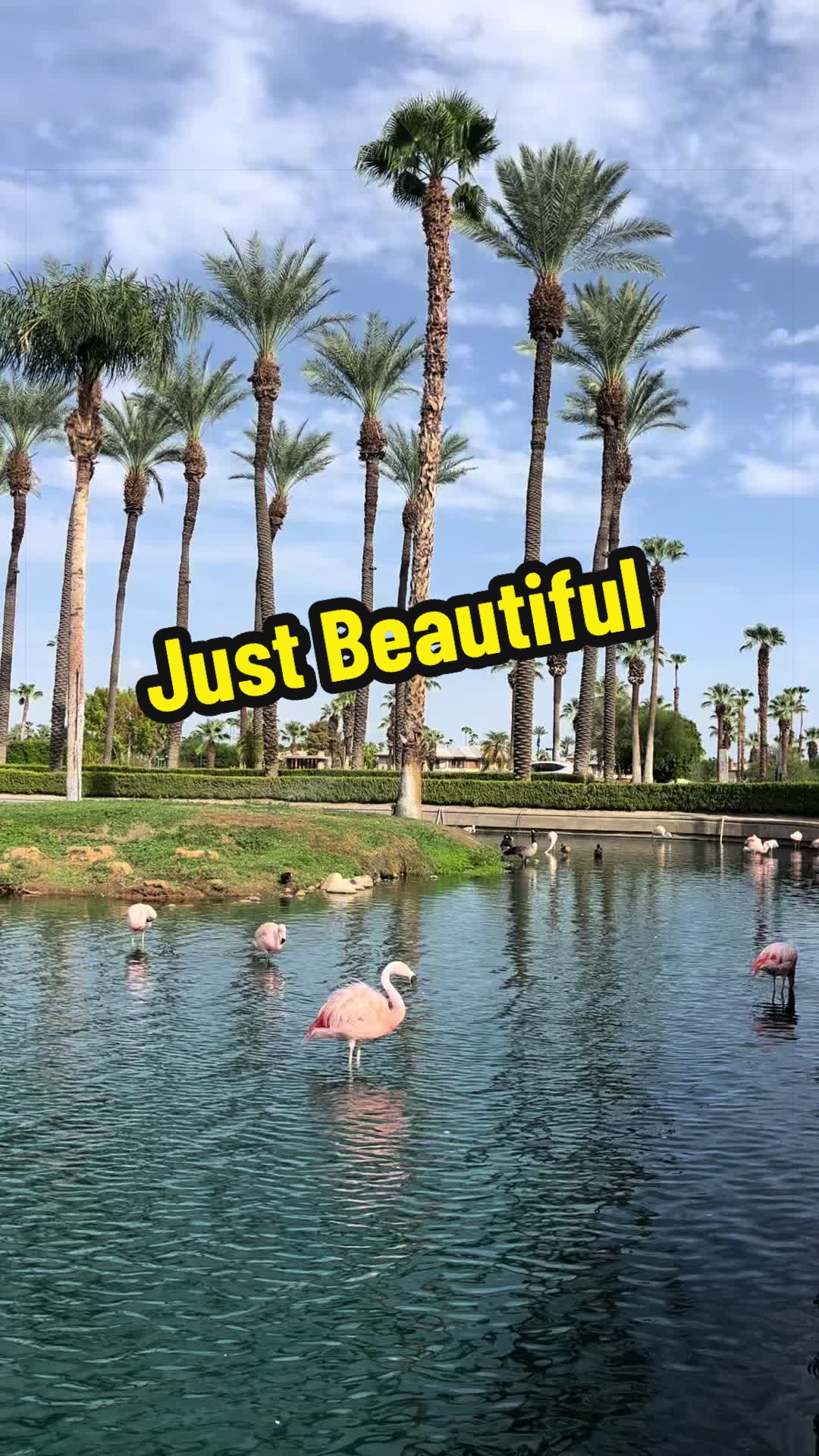 @✨🦋Glen_Totz🦋✨