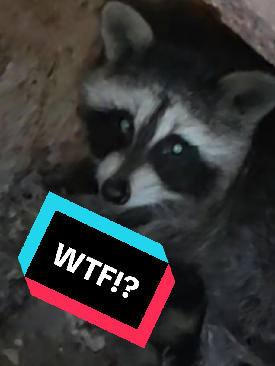 @Pete Thewirelessguy
