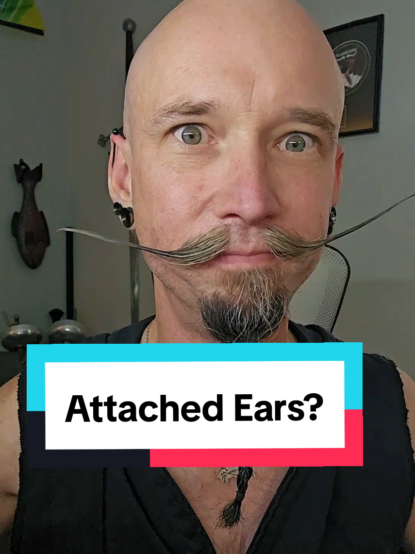 @Matt Stache