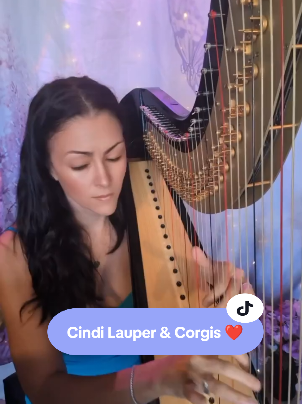 @hillarytheharpist