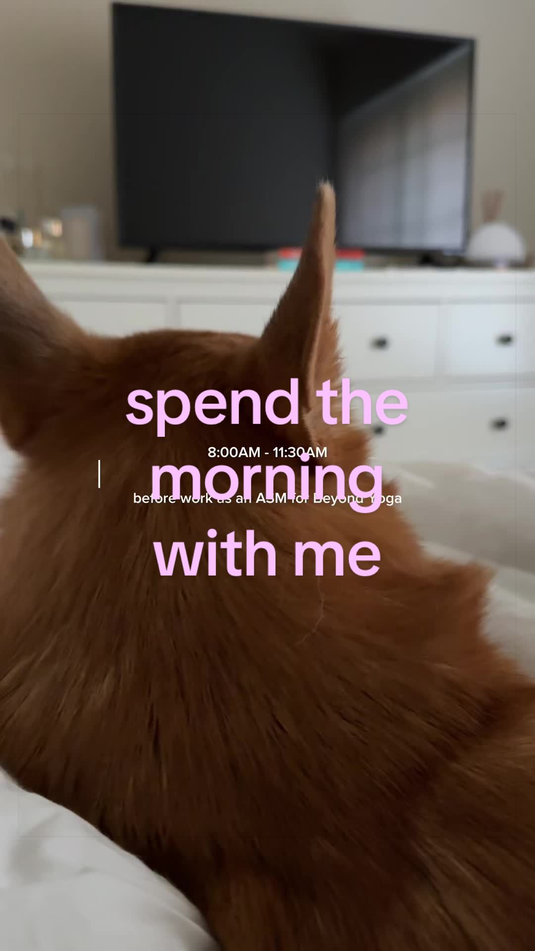 @NORMA ALEXA
